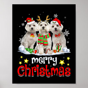 Poster Cachorro Maltês Feliz Natal Cachorro Maltês Chris