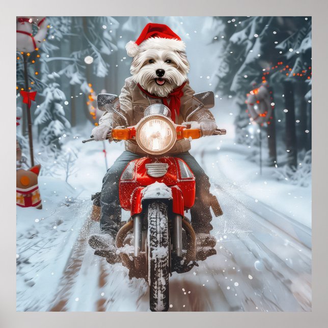 Poster Cachorro Maltês Pilotando Moto Natal (Frente)