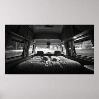 Poster Cachorro na Cama de RV