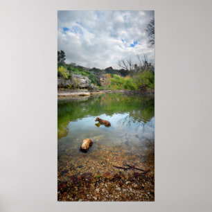 Poster Cachorro nadando em Barton Creek - Austin Texas