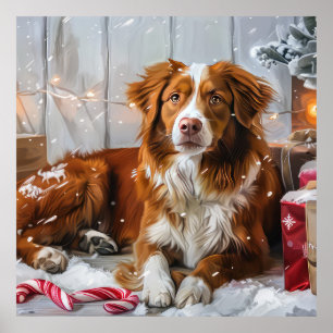 Poster Cachorro Nova Scotia Duck Tolling Retriever Natal 
