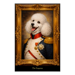 Póster Cachorro o Imperador