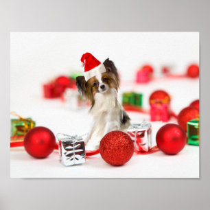 Póster Cachorro Papillon Fofo Chapéu de Natal do Papai No