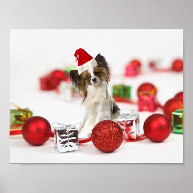 Póster Cachorro Papillon Fofo Chapéu de Natal do Papai No (Frente)
