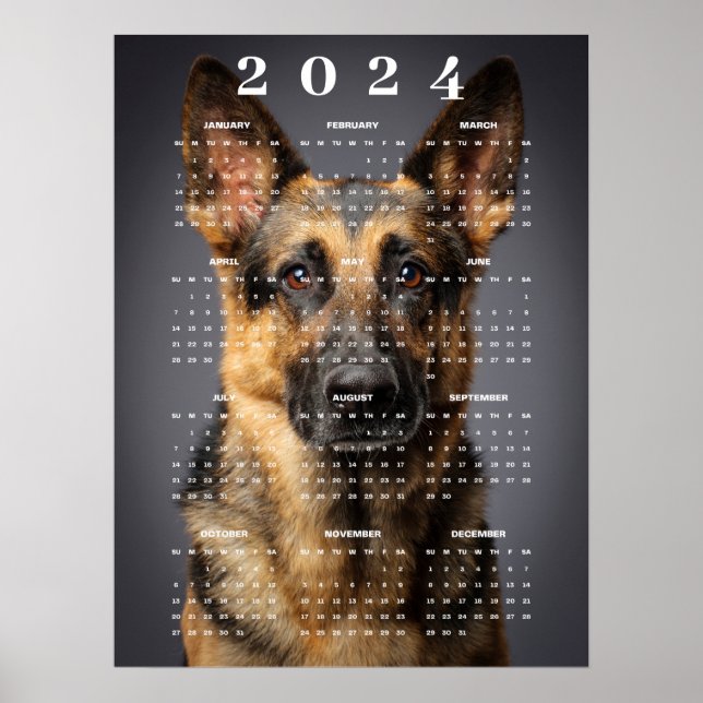 Poster Cachorro Pastor Alemão de Raça Pura Foto Calendári (Frente)
