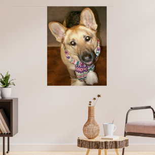 Poster Cachorro Pastor Alemão Fofo e Amável com Cachecol