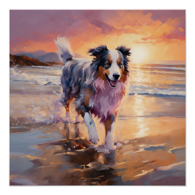 Póster Cachorro Pastor Australiano Arenoso no Pôr do Sol  (Frente)