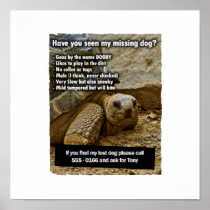 Poster Cachorro perdido DOOBY