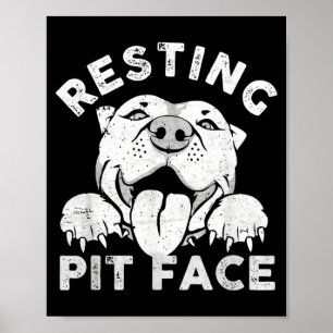 Poster Cachorro Pitbull Descansando Rosto de Pit Humor Sa