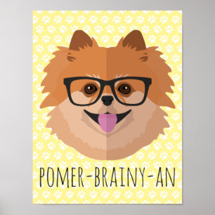 Póster Cachorro Pomerano Em Óculos De Nerd   POMER-BRAINY