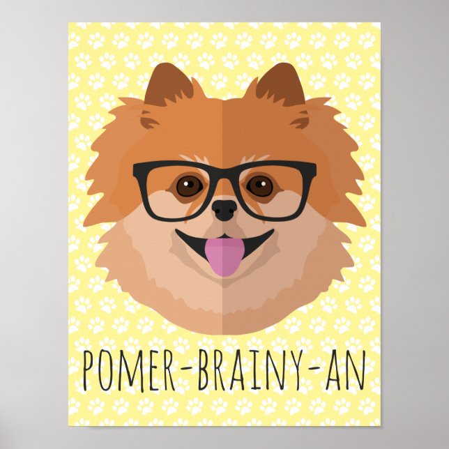 Póster Cachorro Pomerano Em Óculos De Nerd | POMER-BRAINY (Frente)
