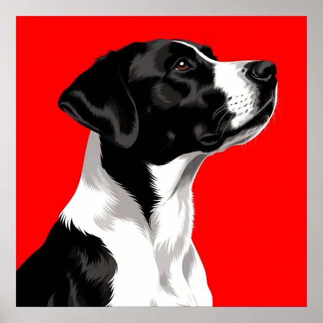 Poster Cachorro Preto e Branco em Fundo Vermelho Ousado (Frente)