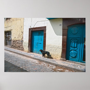Poster Cachorro preto em Cusco, Peru
