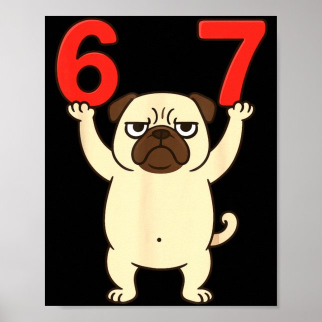 Poster Cachorro Pug Engraçado 67 Meme Seis Sete  (Frente)