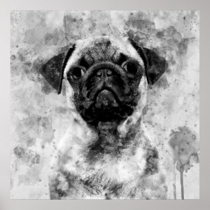 Poster Cachorro Pug Preto e Branco Aquarela 01