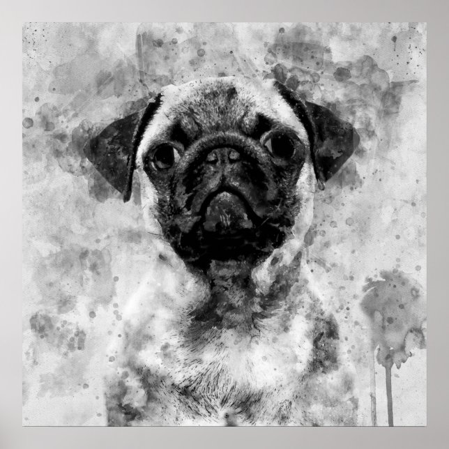 Poster Cachorro Pug Preto e Branco Aquarela 01 (Frente)