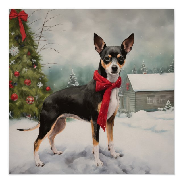 Póster Cachorro Rat Terrier na Neve Natal  (Frente)