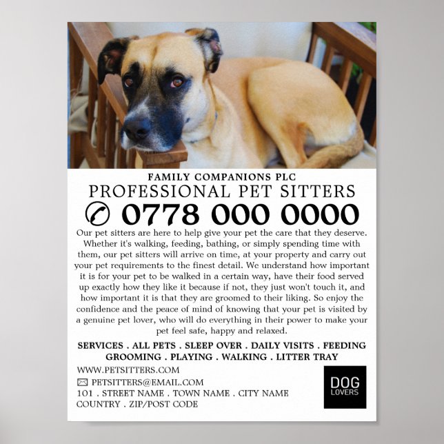 Poster Cachorro Relaxado, Anúncio de Serviço de Sessão de (Frente)