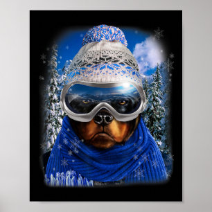 Poster Cachorro Rottweiler No Esportes De Neve De Inverno