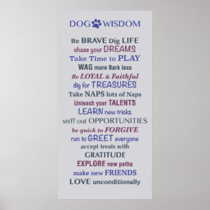 Poster Cachorro Sabedoria