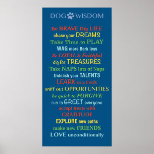 Poster Cachorro Sabedoria