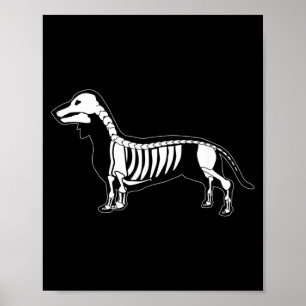 Poster Cachorro Salsicha Dachshund Assustador Esqueleto d