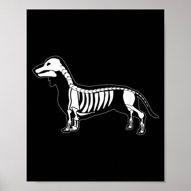 Poster Cachorro Salsicha Dachshund Assustador Esqueleto d (Frente)