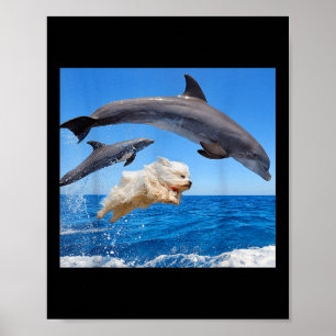 Poster Cachorro Salta Com Golfinho Para Homens Mulheres