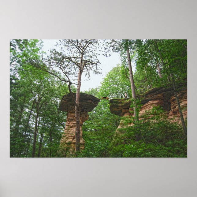 Poster Cachorro Saltando de Stand Rock em Wisconsin Dells (Frente)