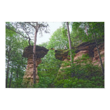 Cachorro Saltando de Stand Rock em Wisconsin Dells