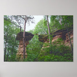 Poster Cachorro Saltando de Stand Rock em Wisconsin Dells