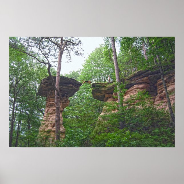 Poster Cachorro Saltando de Stand Rock em Wisconsin Dells (Frente)