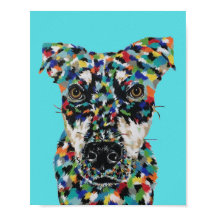 Cachorro Sem Raça Definida