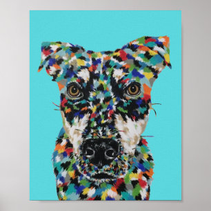 Poster Cachorro Sem Raça Definida