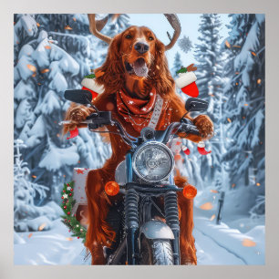 Poster Cachorro Setter Vermelho Irlandês Pilotando Moto N