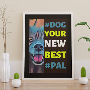 Poster #Cachorro, seu novo melhor #Pal... Keeshond