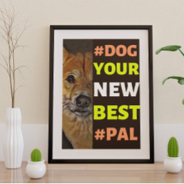 Poster #Cachorro, seu novo melhor #Pal... Shiba Inu