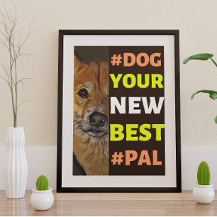 Poster #Cachorro, seu novo melhor #Pal... Shiba Inu
