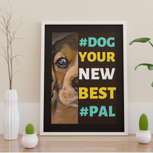 Poster #Cachorro, seu novo #Pal...Beagle