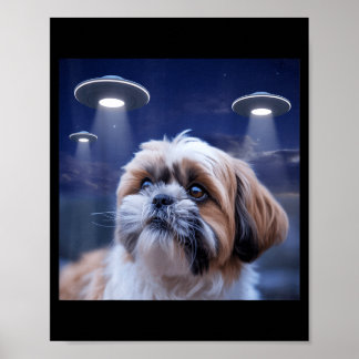 Poster Cachorro shih tzu cachorro shihtzu alienígena óvni