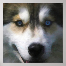 POSTER CACHORRO SIBERIANO "FAR EYES"