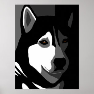 Poster Cachorro Siberiano Husky 162