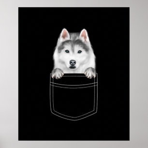 Poster Cachorro Siberiano Husky Em Bolso Presente Engraç