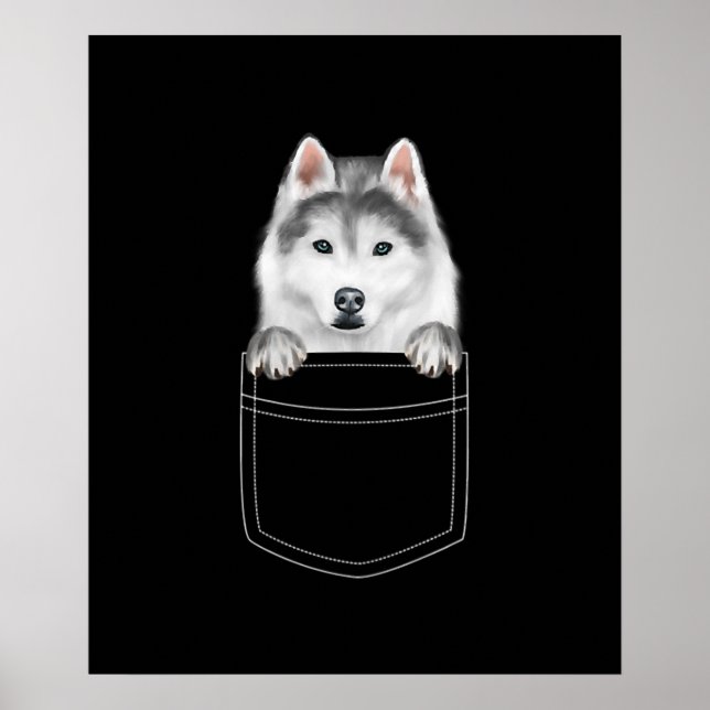 Poster Cachorro Siberiano Husky Em Bolso |Presente Engraç (Frente)