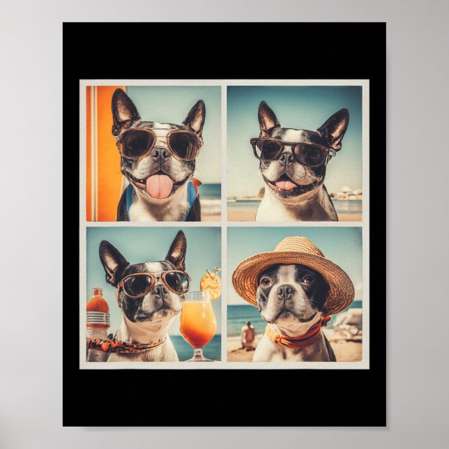 Poster Cachorros Boston Terrier legais óculos de sol Féri (Frente)