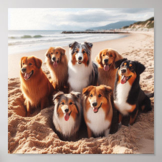 Poster cachorros brincando na praia no verão