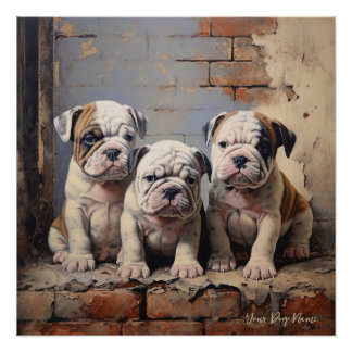 Póster Cachorros-Cachorro Amigáveis 003 - Raimon Paladino