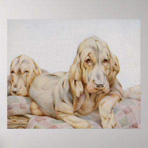 Poster Cachorros Cute Vintage, Cachorrinhos por EJ Detmol