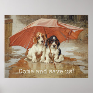 Póster Cachorros de basset sob o guarda-chuva CC0867 Troo