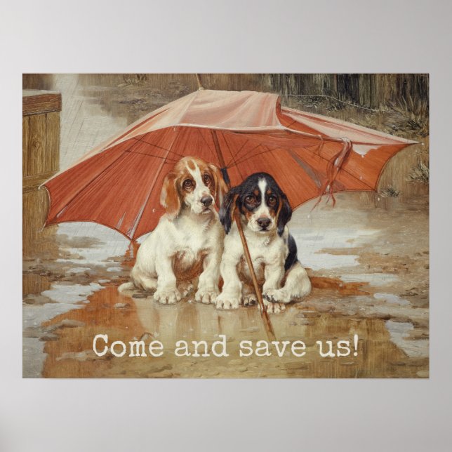 Póster Cachorros de basset sob o guarda-chuva CC0867 Troo (Frente)